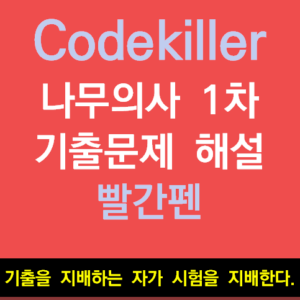 Codekiller 빨간펜